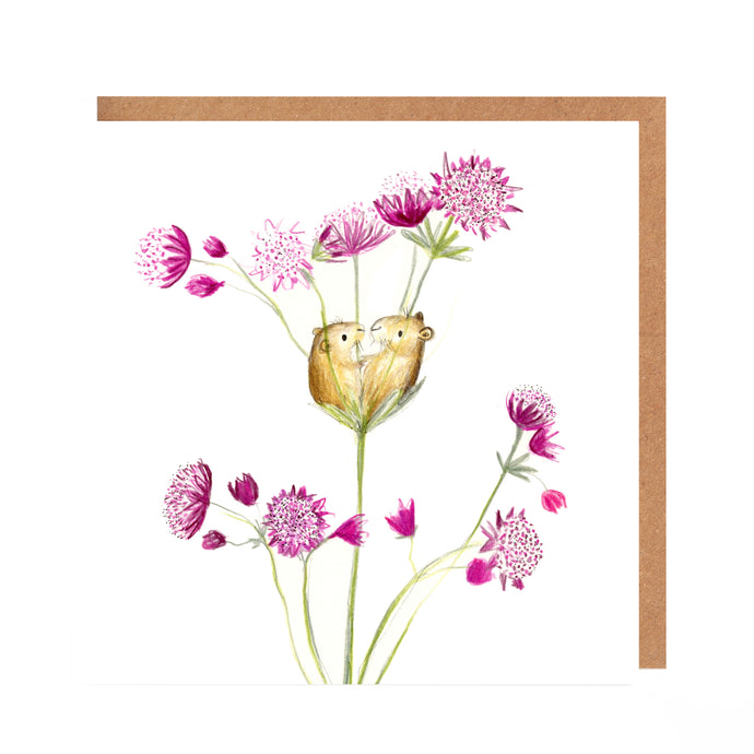 Gertie and Olivia Field Mice Card Blank