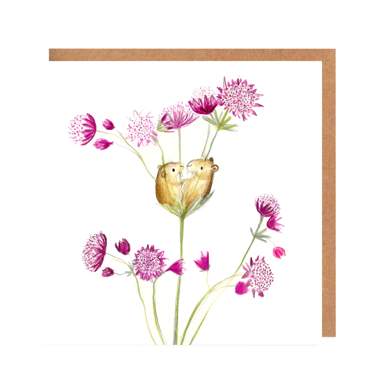 Gertie and Olivia Field Mice Card Blank
