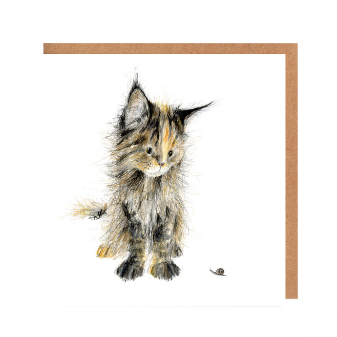 Lollipop and Snail Kitten Card Blank