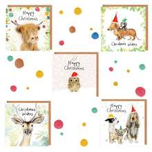 Load image into Gallery viewer, 2025 Christmas Card Pack