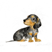 Load image into Gallery viewer, Reggie the dachshund puppy.