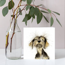 Load image into Gallery viewer, Clear glass vase with eucalyptus branches on a white surface, with a close-up of a dog's face in the corner.
