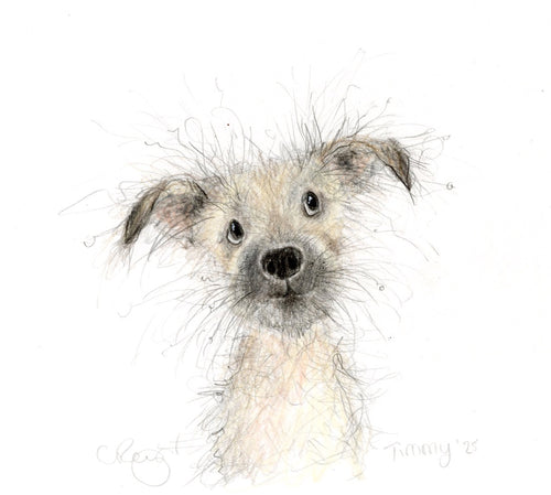 Timmy!