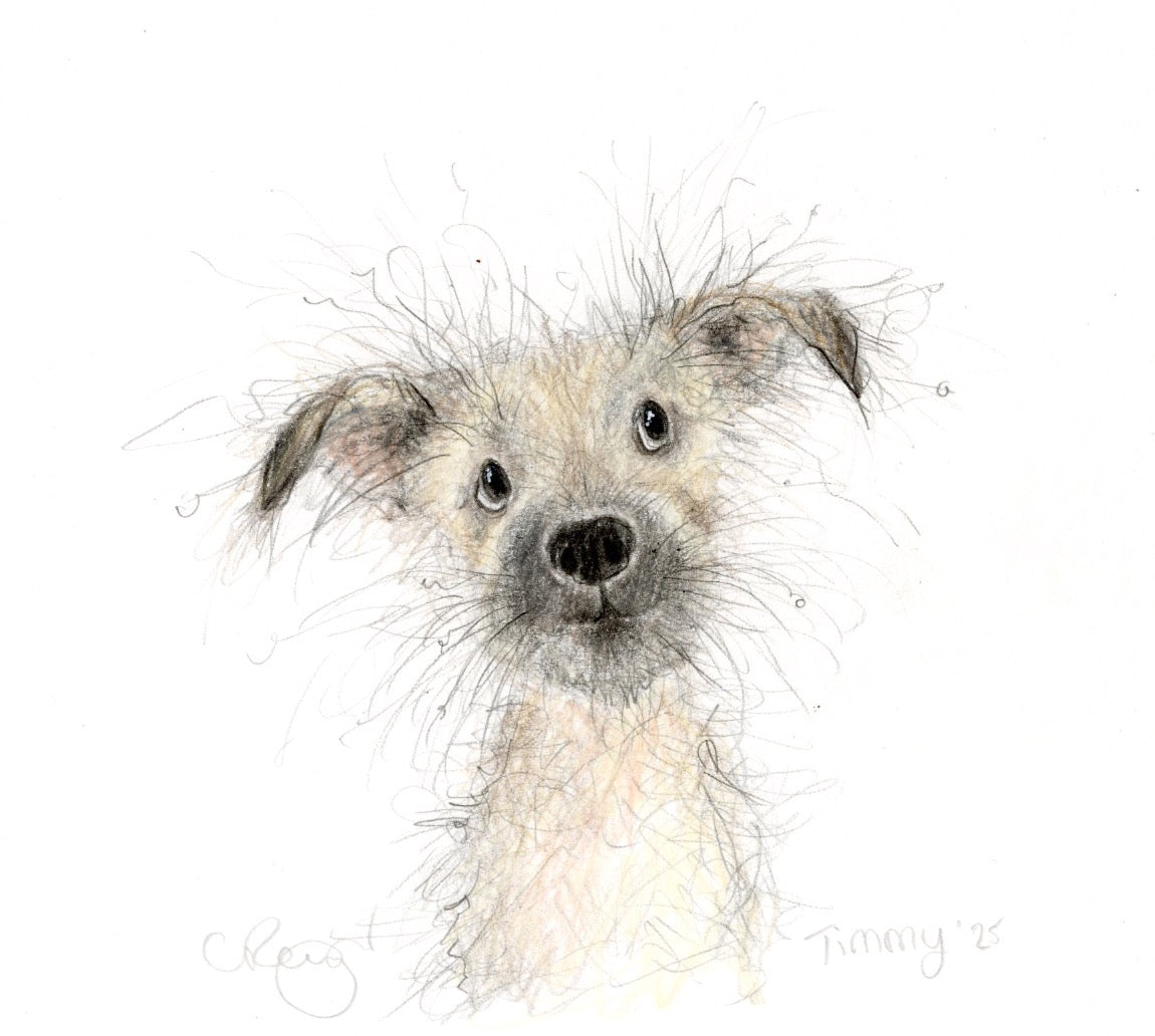 Timmy!