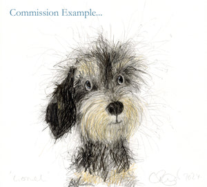 Pet Portrait Gift Voucher