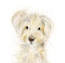 Load image into Gallery viewer, Fido