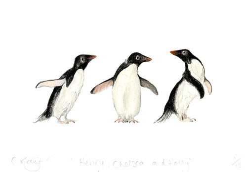 Penguin Trio A5 Print – 'Henry, Chelsea & Holly'