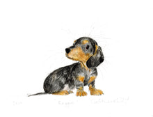 Load image into Gallery viewer, Reggie the dachshund puppy.