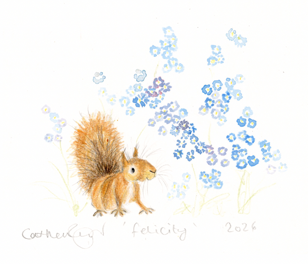 Felicity and and the forget me nots… – Catherine Rayner