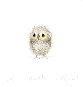 Derek the Owl