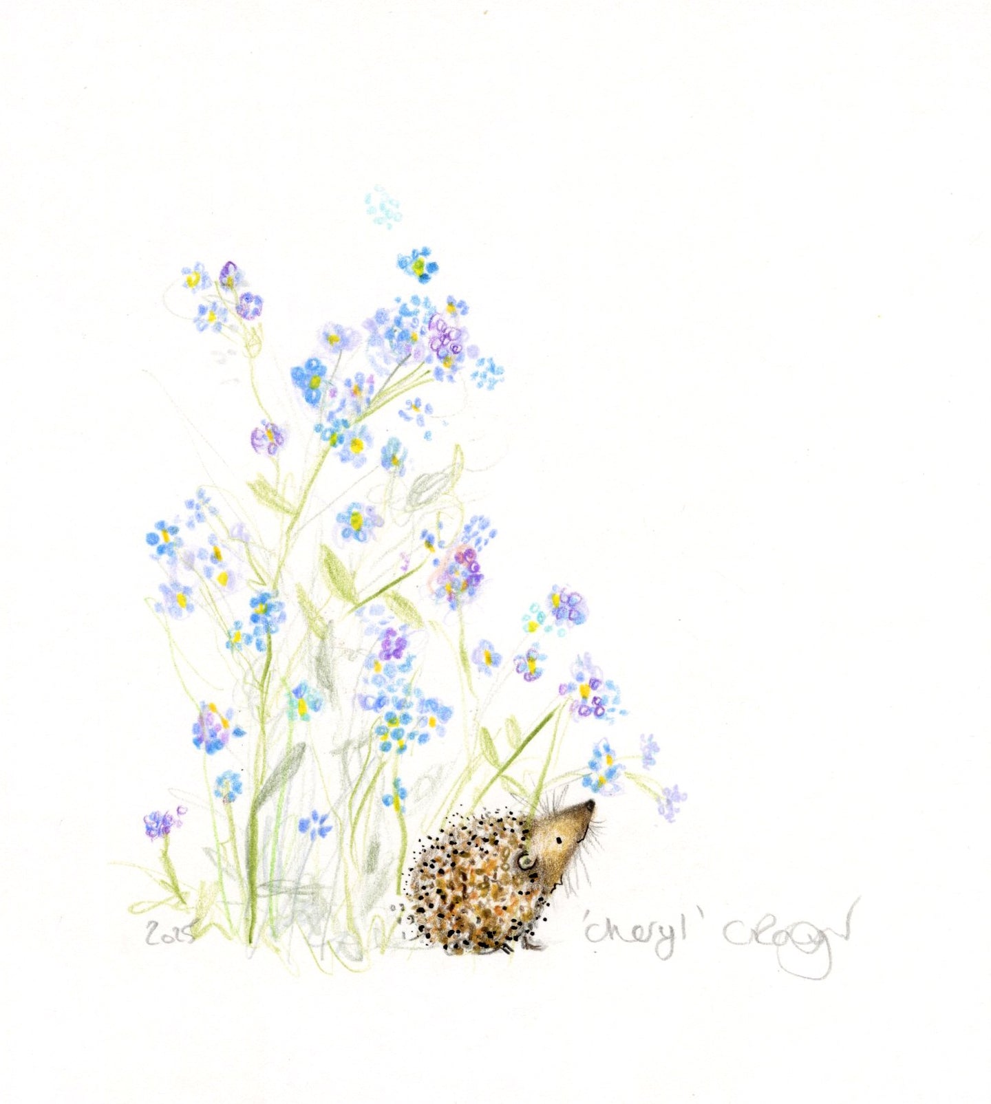 ‘Cheryl’ and the forget-me-nots…