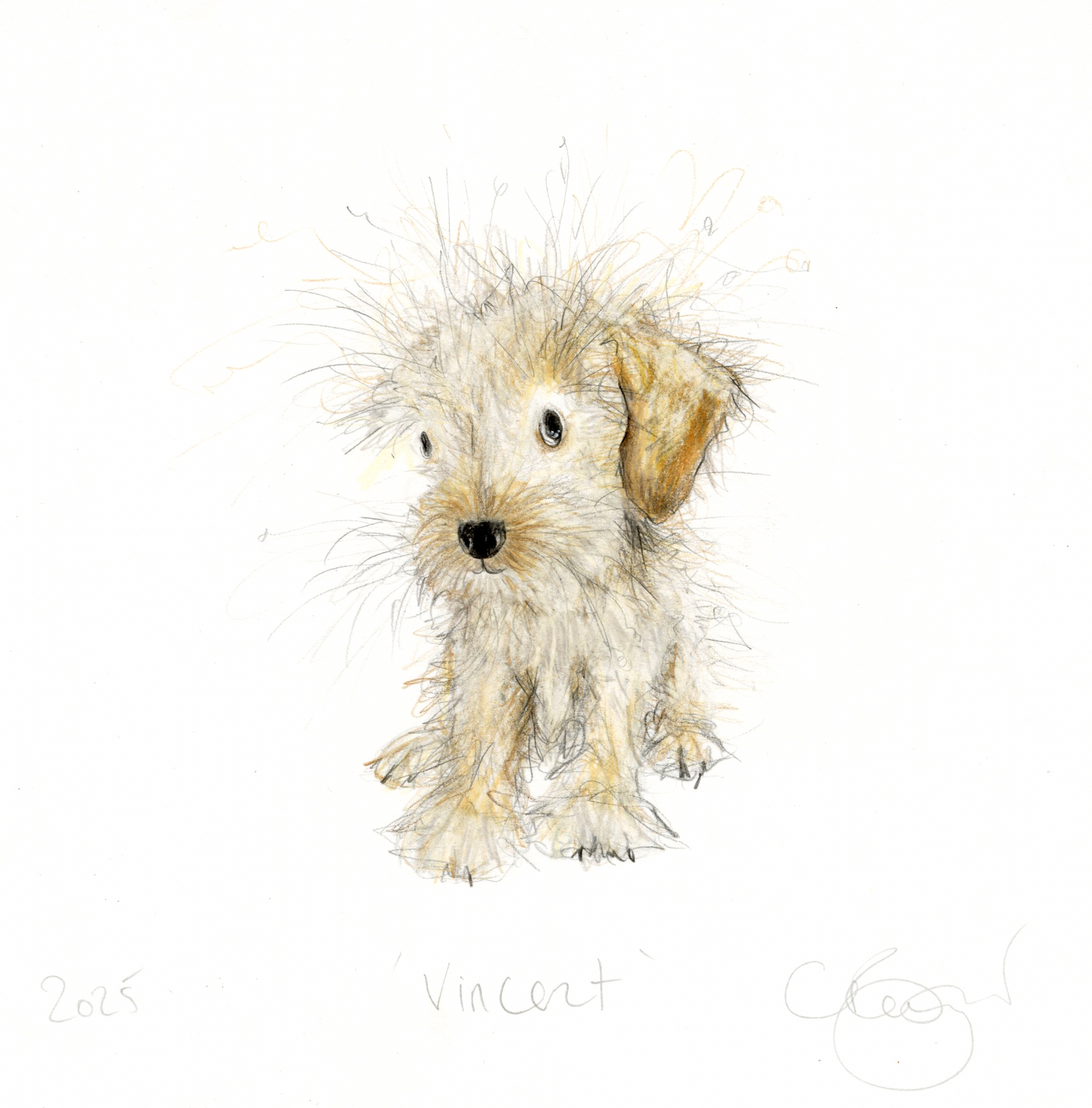 Vincent