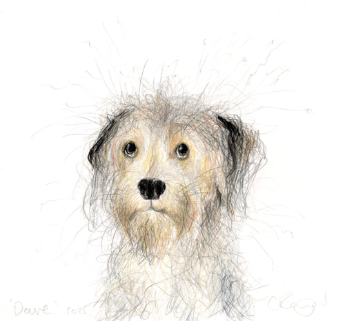 'Dave' the scruff