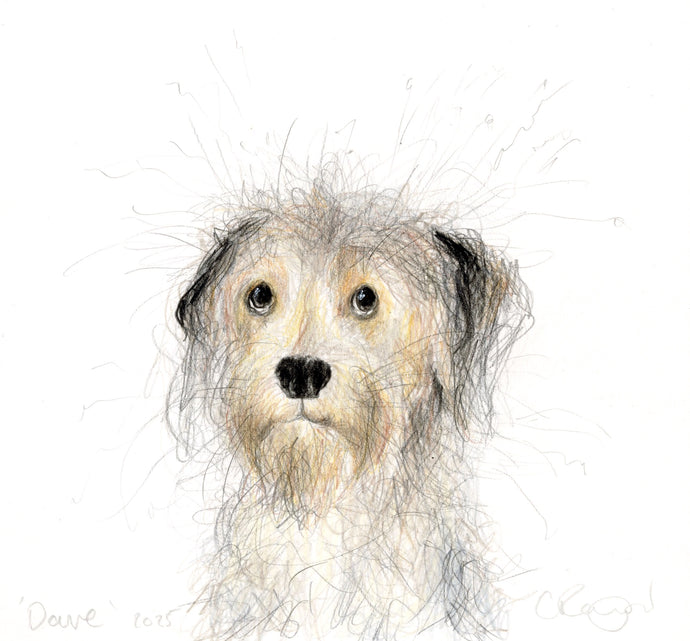 'Dave' the scruff