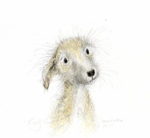 Henrietta