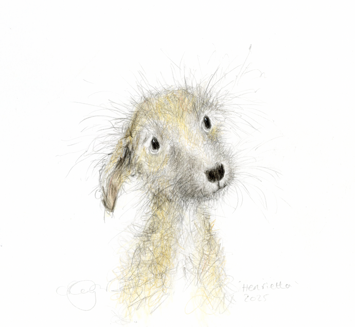 Henrietta