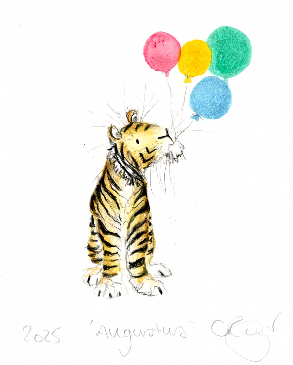Tiny Tiger 2! Augustus is 20 - a special original! – Catherine Rayner