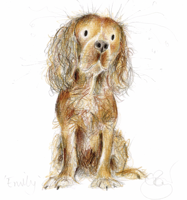 'Emily' King Charles Cavalier Mini Print