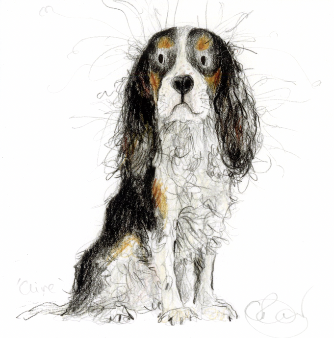 'Clive' King Charles Cavalier Mini Print