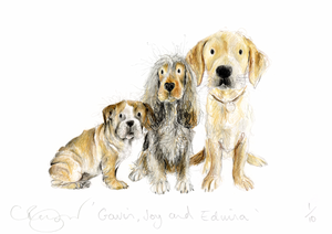 special link for Anne Mouzin Bailly for 3 dogs print 'Gavin, Joy & Edwina'