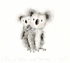 'Edwin and Shelley' the koalas