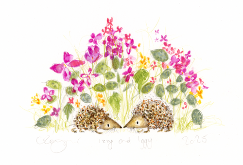 Izzy and Iggy and the honesty flowers
