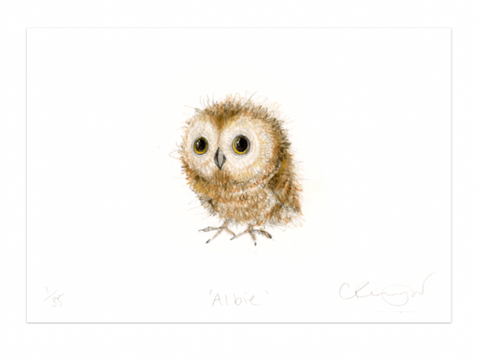 'Albie' owl A5 Print