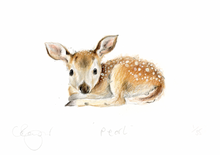 Load image into Gallery viewer, &#39;Pearl&#39; baby deer A5 Print