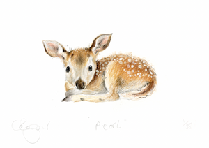 'Pearl' baby deer A5 Print