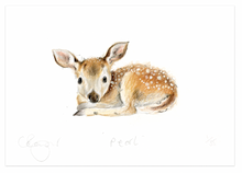 Load image into Gallery viewer, &#39;Pearl&#39; baby deer A5 Print