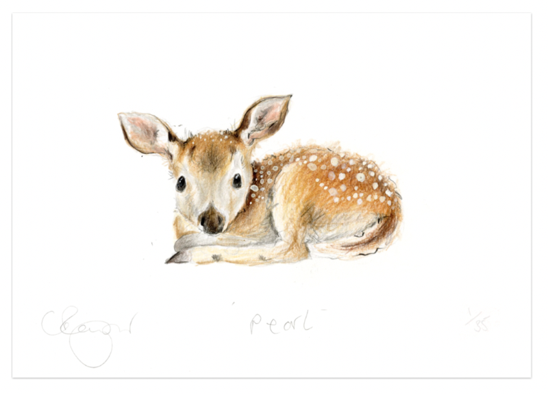 'Pearl' baby deer A5 Print