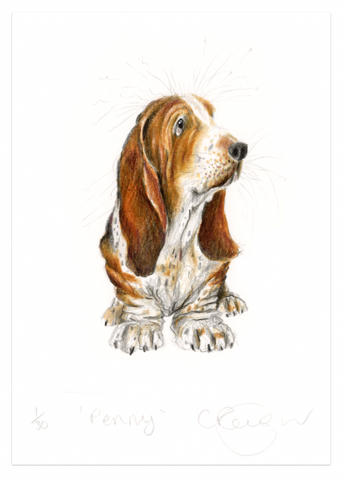 'Penny' basset hound A5 dog Print