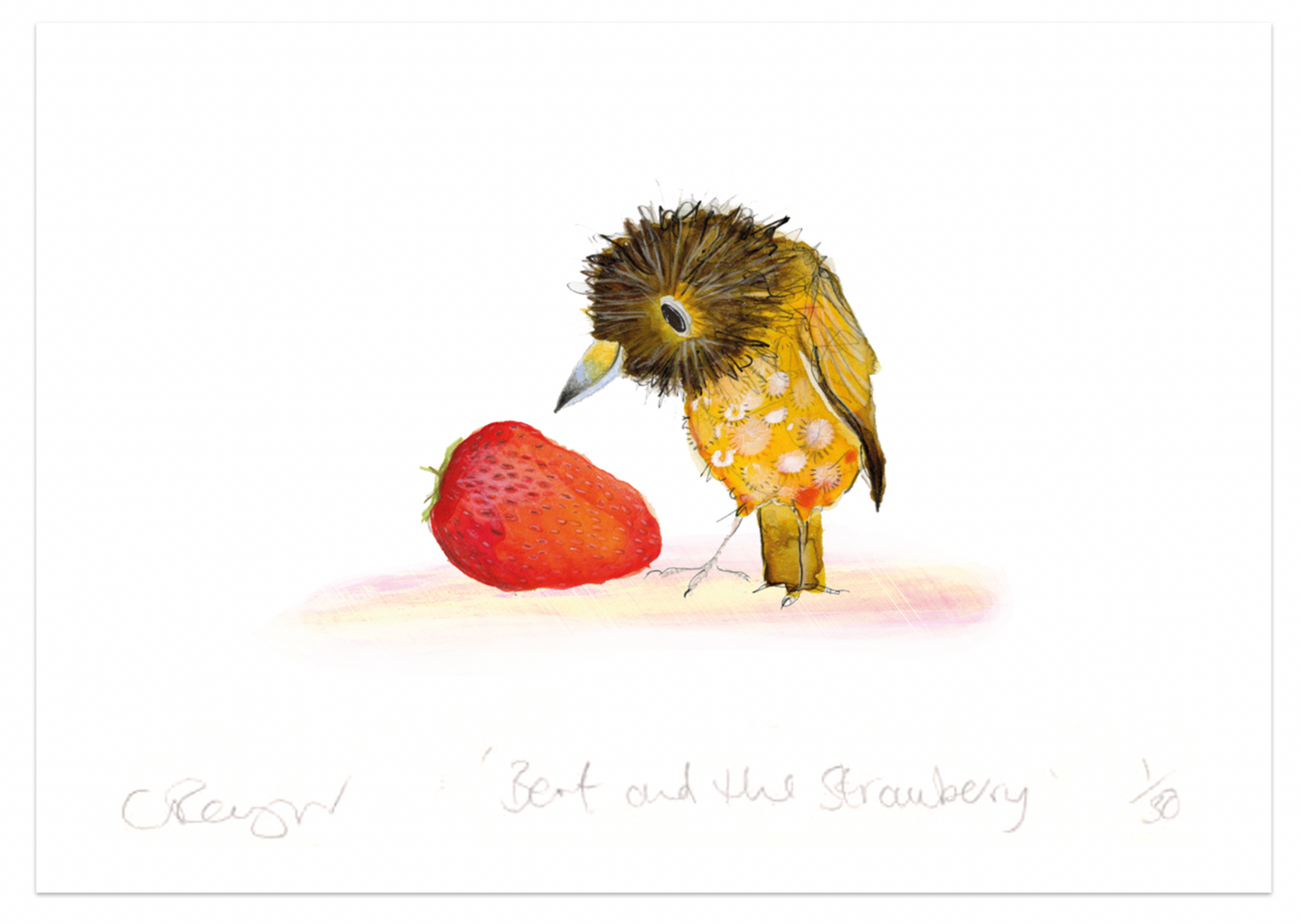 'Bert' A5 Print from the book 'The Bowerbird'