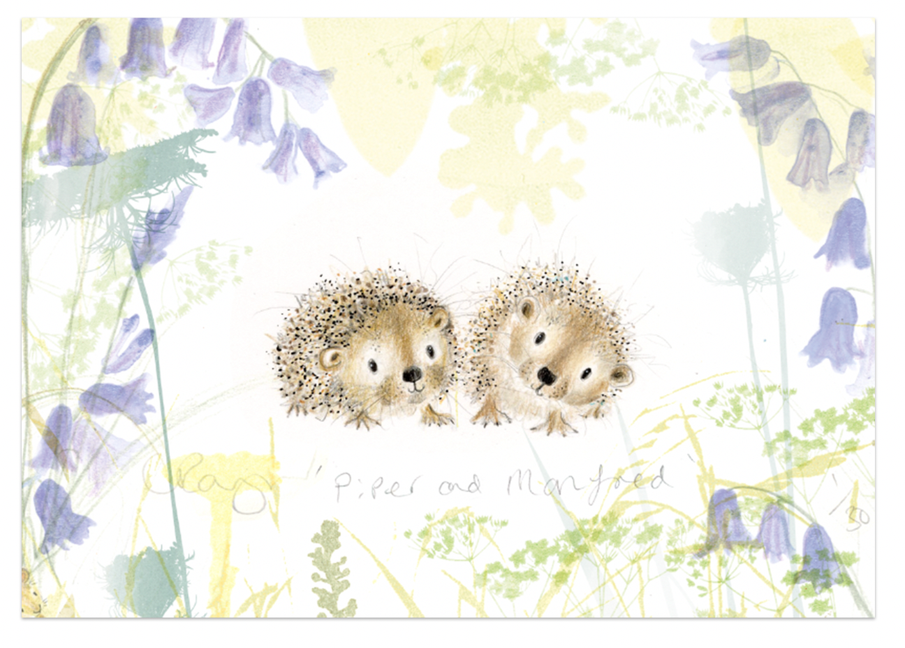 'Piper and Manfred' A5 hedgehog Print