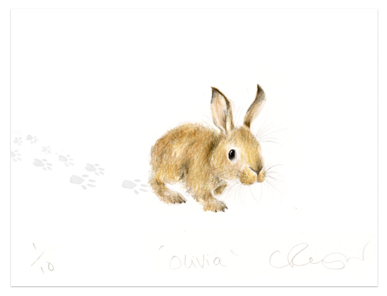'Olivia' A5 Bunny Print