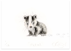 'Petal' A5 Baby Badger Print