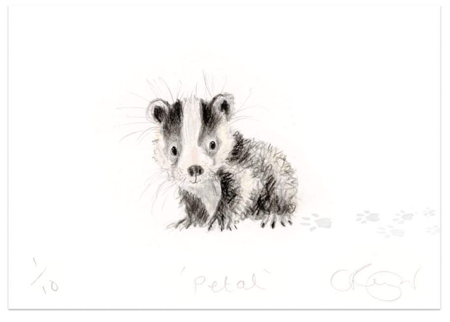 'Petal' A5 Baby Badger Print