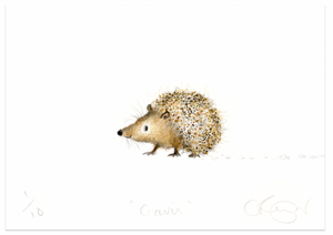 'Gavin' A5 hedgehog Print