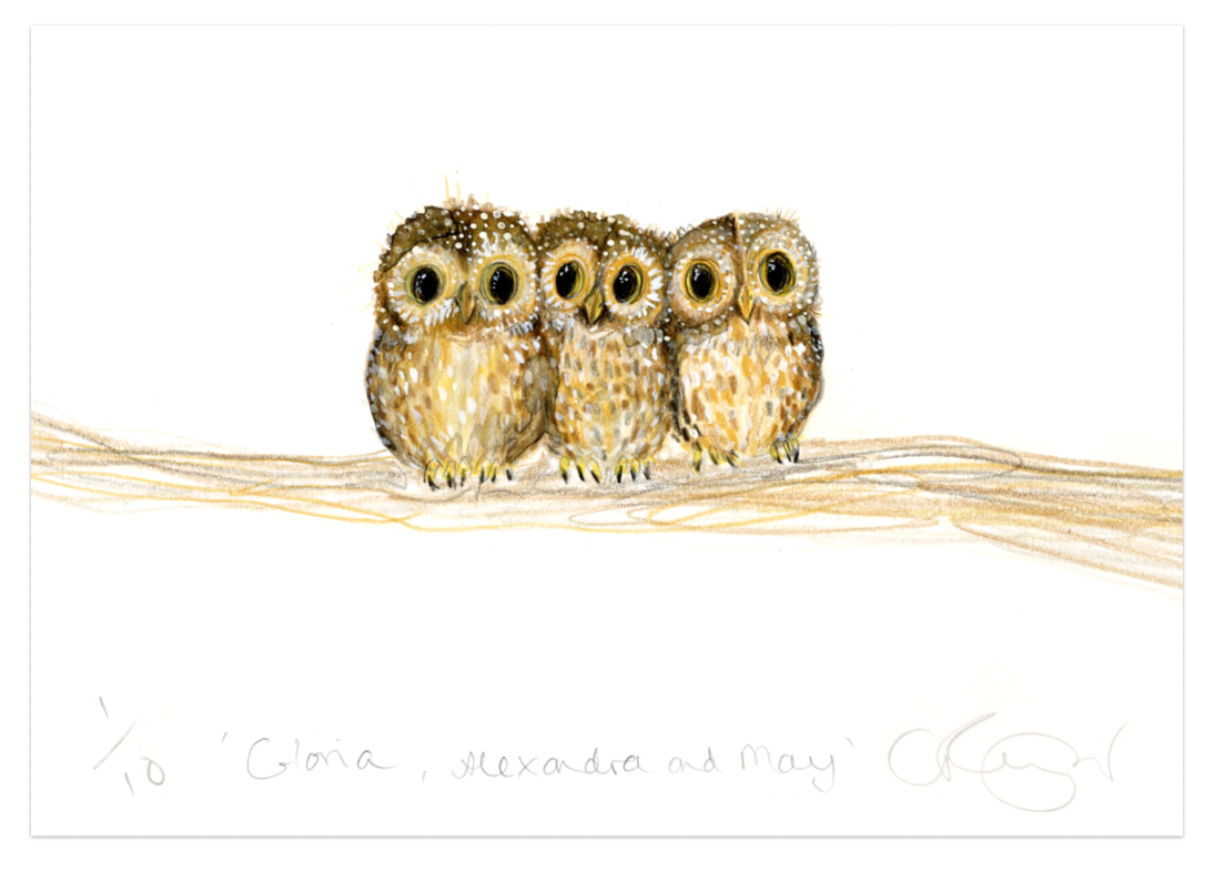 'Gloria, Alexandra and May' A5 baby owl Print