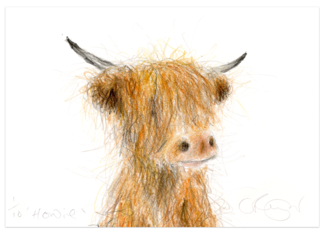 'Howie' A5 Highland Cow Print