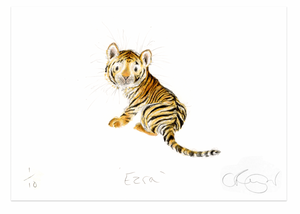 'Ezra' A5 Tiger Cub Print