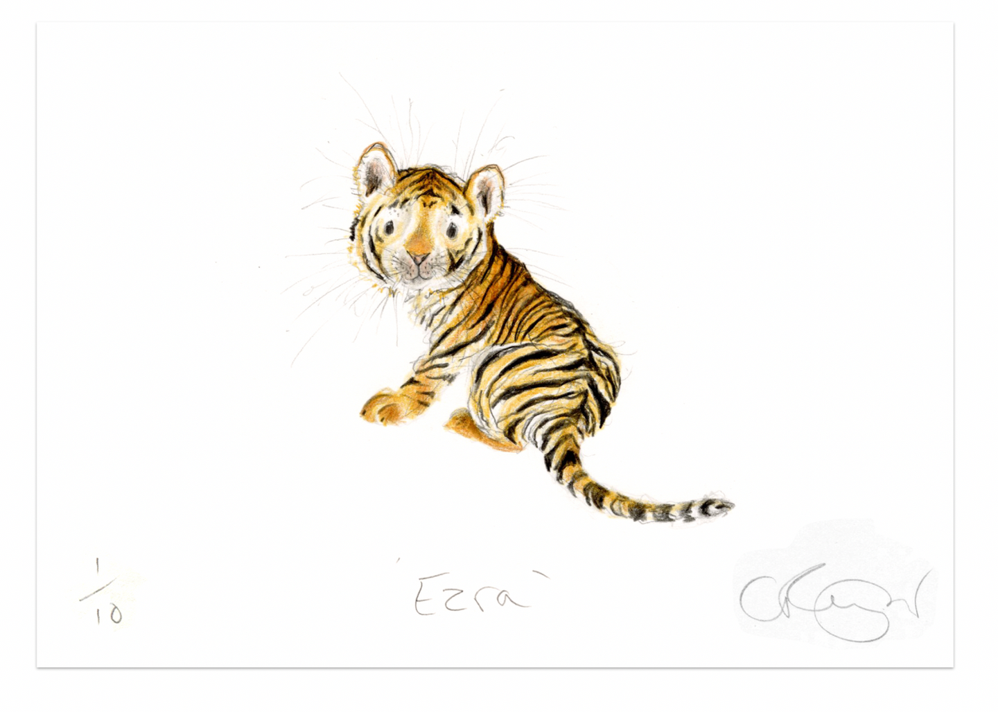 'Ezra' A5 Tiger Cub Print