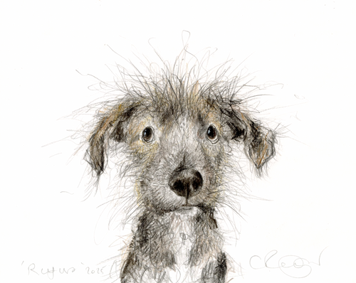Rufus