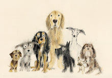 Load image into Gallery viewer, &#39;The Motley Crew&#39; (Dogs original painting - framed) SOLD