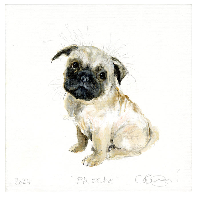 'Phoebe' (Pug original painting - framed) SOLD