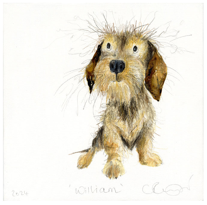 'William' (Wire-hared Dachshund original painting - framed)