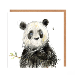 Bear Card Bundle