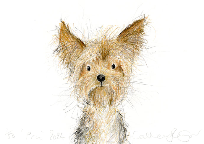 'Pru' A5 dog print