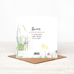 Harris Hare Birthday Card