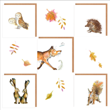 Load image into Gallery viewer, Woodland Animals Card Bundle